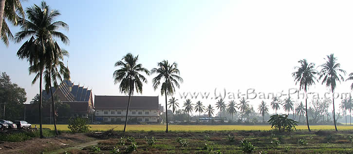 Wat Bang Phra - view over ricefield